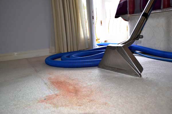 Professional, affordable Wynyard carpet, rug, sofa and upholstery cleaners